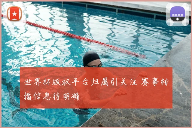 世界杯版权平台归属引关注 赛事转播信息待明确