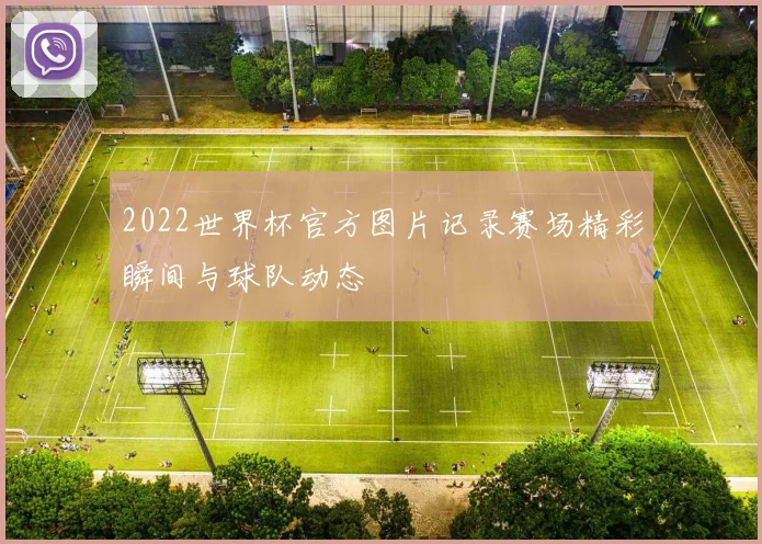 2022世界杯官方图片记录赛场精彩瞬间与球队动态