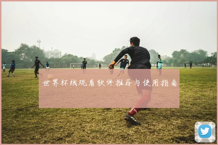 世界杯线观看软件推荐与使用指南