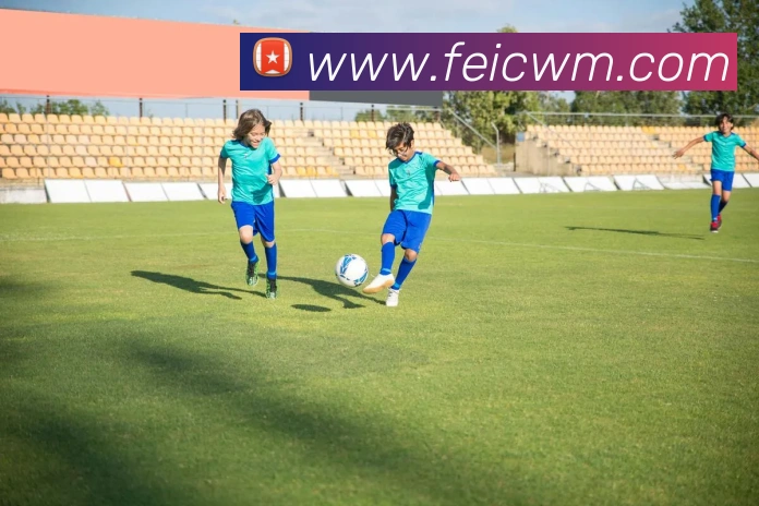 kaiyun入口APP 封面图